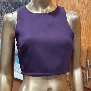 Everly Dark Purple Crop Top
